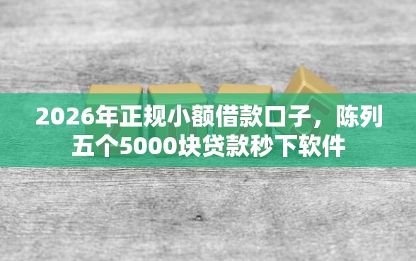 2026年正规小额借款口子，陈列五个5000块贷款秒下软件
