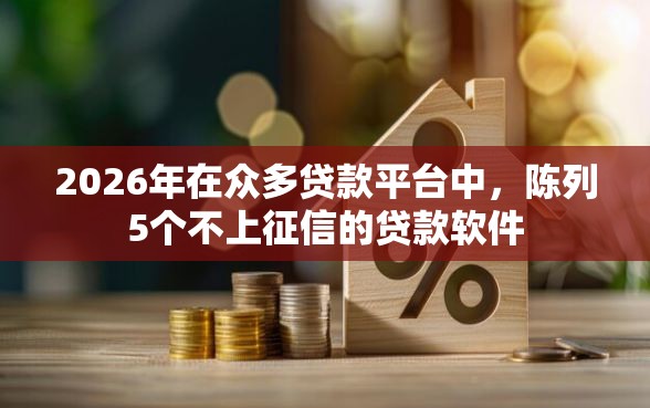 2026年在众多贷款平台中，陈列5个不上征信的贷款软件