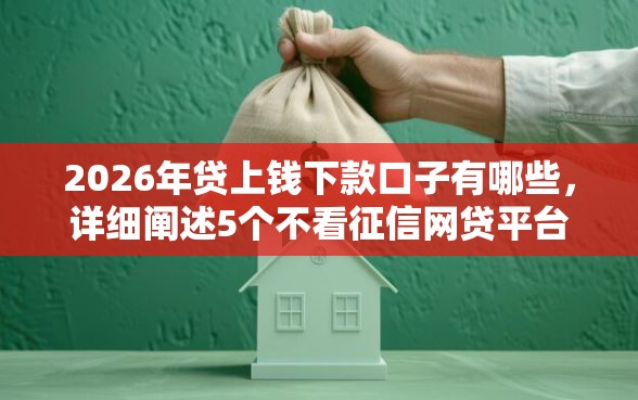 2026年贷上钱下款口子有哪些，详细阐述5个不看征信网贷平台放款快的软件
