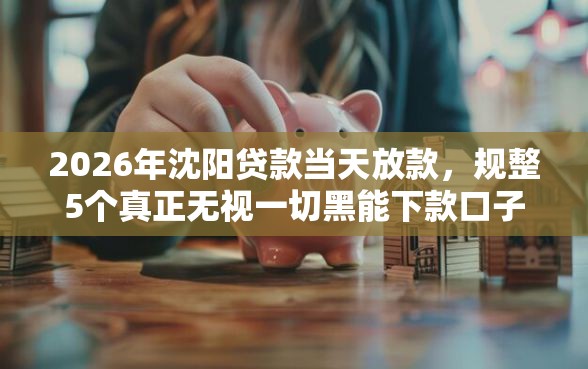 2026年沈阳贷款当天放款，规整5个真正无视一切黑能下款口子