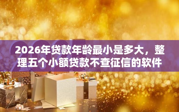 2026年贷款年龄最小是多大，整理五个小额贷款不查征信的软件