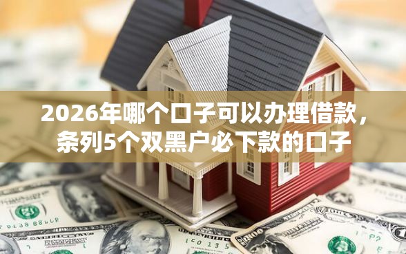 2026年哪个口子可以办理借款，条列5个双黑户必下款的口子