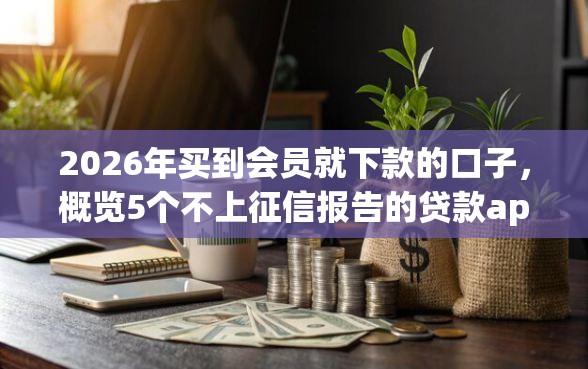 2026年买到会员就下款的口子，概览5个不上征信报告的贷款app