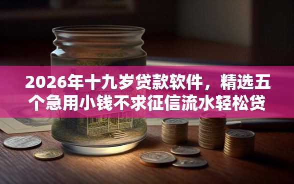 2026年十九岁贷款软件，精选五个急用小钱不求征信流水轻松贷的口子
