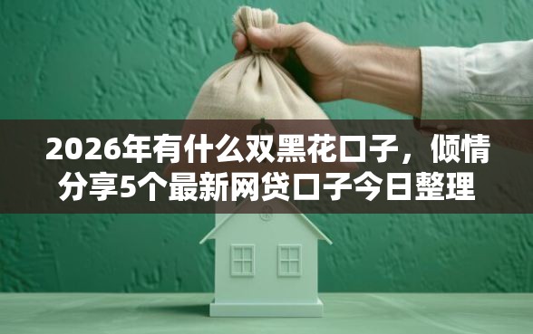 2026年有什么双黑花口子，倾情分享5个最新网贷口子今日整理这五个平台