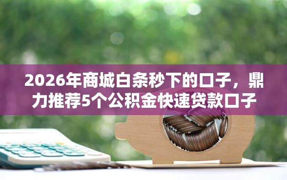 2026年商城白条秒下的口子，鼎力推荐5个公积金快速贷款口子