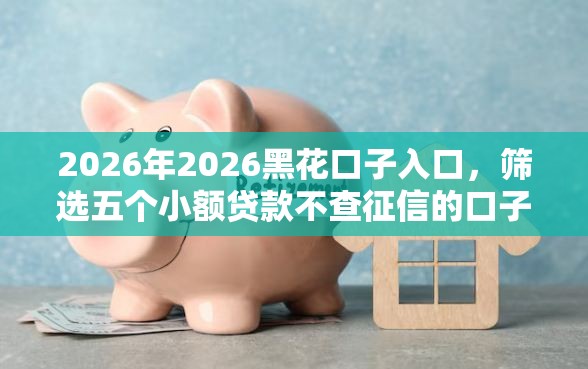 2026年2026黑花口子入口，筛选五个小额贷款不查征信的口子