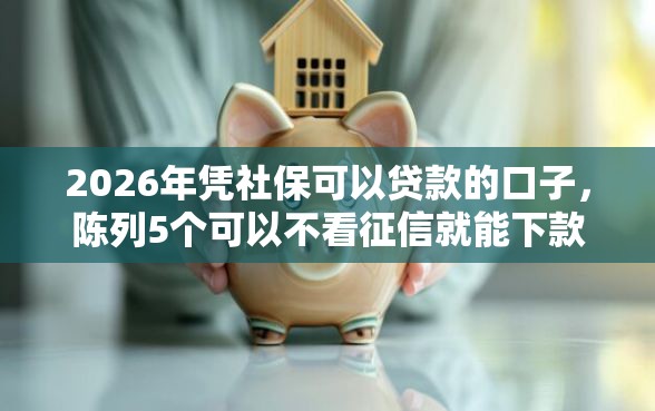 2026年凭社保可以贷款的口子，陈列5个可以不看征信就能下款的口子