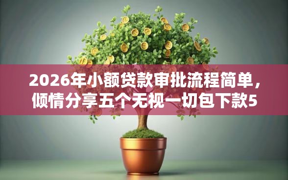 2026年小额贷款审批流程简单，倾情分享五个无视一切包下款5000秒下款的口子