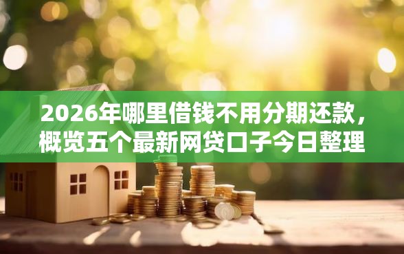 2026年哪里借钱不用分期还款，概览五个最新网贷口子今日整理这五个平台