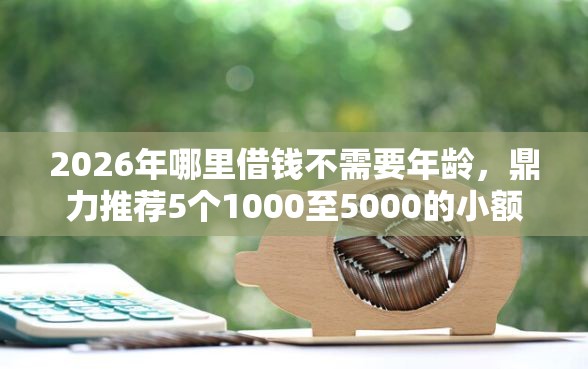 2026年哪里借钱不需要年龄，鼎力推荐5个1000至5000的小额贷款口子