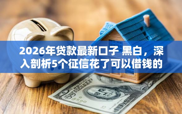 2026年贷款最新口子 黑白，深入剖析5个征信花了可以借钱的网贷平台