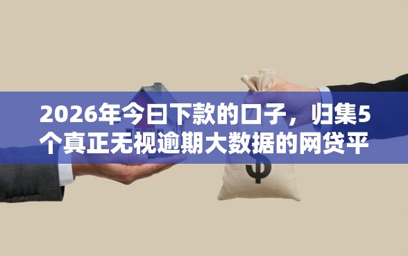 2026年今曰下款的口子，归集5个真正无视逾期大数据的网贷平台