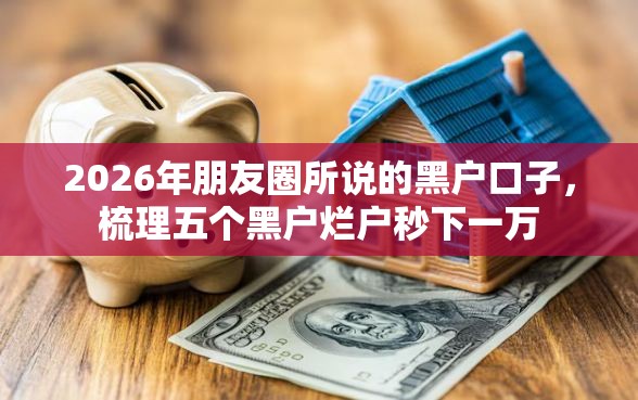 2026年朋友圈所说的黑户口子,梳理五个黑户烂户秒下一万 2026年朋友圈所说的黑户口子,梳理五个黑户烂户秒下一万
