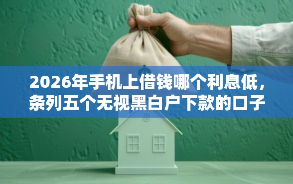 2026年手机上借钱哪个利息低，条列五个无视黑白户下款的口子