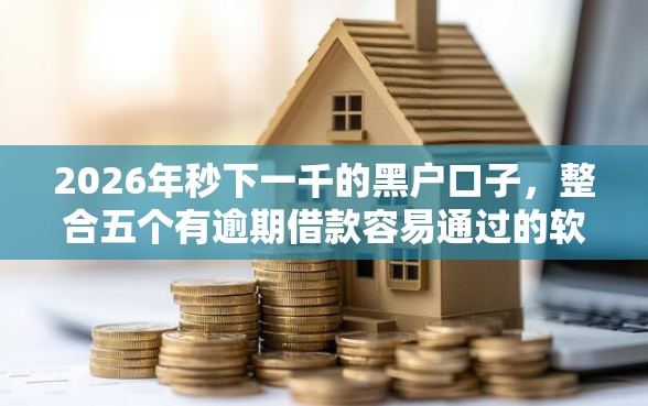 2026年秒下一千的黑户口子，整合五个有逾期借款容易通过的软件