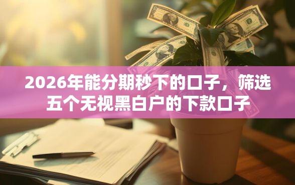 2026年能分期秒下的口子,筛选五个无视黑白户的下款口子 2026年能分期秒下的口子,筛选五个无视黑白户的下款口子