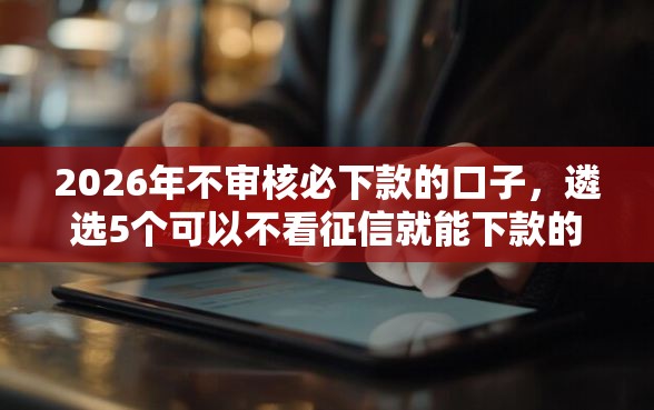 2026年不审核必下款的口子，遴选5个可以不看征信就能下款的软件