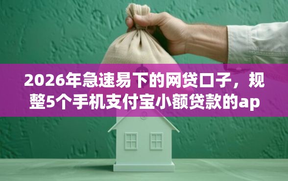2026年急速易下的网贷口子，规整5个手机支付宝小额贷款的app