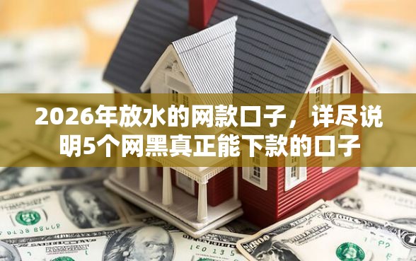 2026年放水的网款口子，详尽说明5个网黑真正能下款的口子