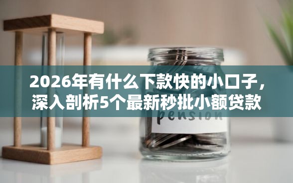 2026年有什么下款快的小口子，深入剖析5个最新秒批小额贷款平台