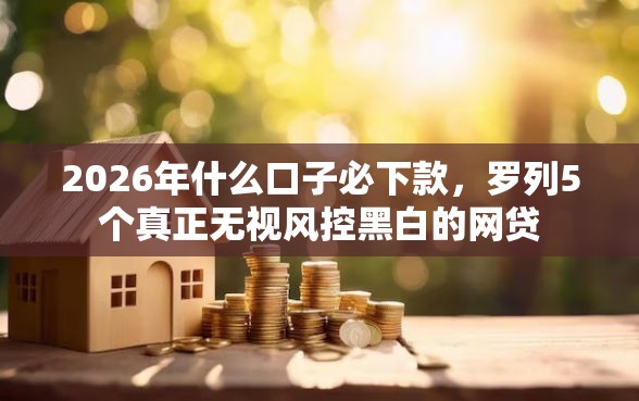 2026年什么口子必下款，罗列5个真正无视风控黑白的网贷