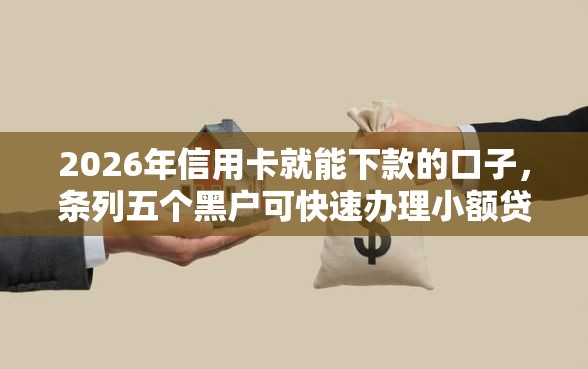2026年信用卡就能下款的口子，条列五个黑户可快速办理小额贷款业务的口子