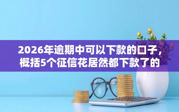 2026年逾期中可以下款的口子，概括5个征信花居然都下款了的口子