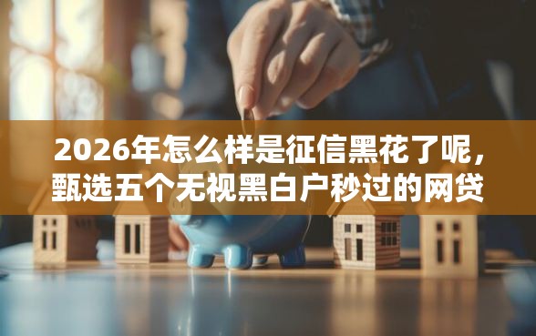 2026年怎么样是征信黑花了呢，甄选五个无视黑白户秒过的网贷口子