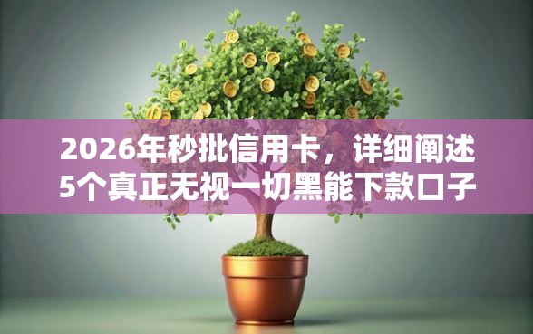 2026年秒批信用卡，详细阐述5个真正无视一切黑能下款口子