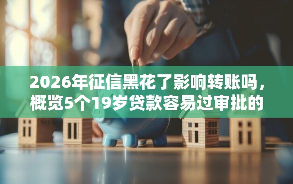 2026年征信黑花了影响转账吗,概览5个19岁贷款容易过审批的口子 2026年征信黑花了影响转账吗,概览5个19岁贷款容易过审批的口子