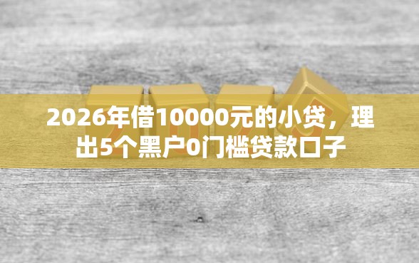 2026年借10000元的小贷，理出5个黑户0门槛贷款口子