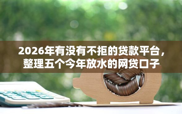 2026年有没有不拒的贷款平台，整理五个今年放水的网贷口子