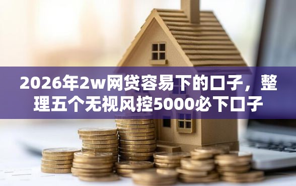 2026年2w网贷容易下的口子，整理五个无视风控5000必下口子