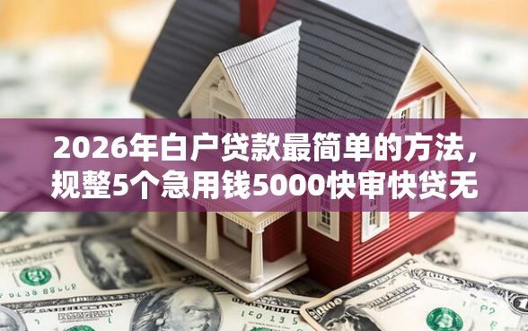 2026年白户贷款最简单的方法，规整5个急用钱5000快审快贷无需征信口子