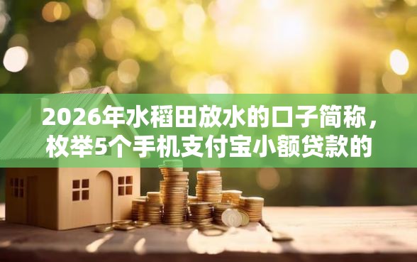 2026年水稻田放水的口子简称，枚举5个手机支付宝小额贷款的软件