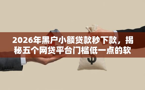 2026年黑户小额贷款秒下款，揭秘五个网贷平台门槛低一点的软件