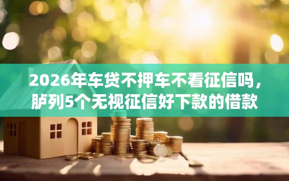 2026年车贷不押车不看征信吗，胪列5个无视征信好下款的借款app