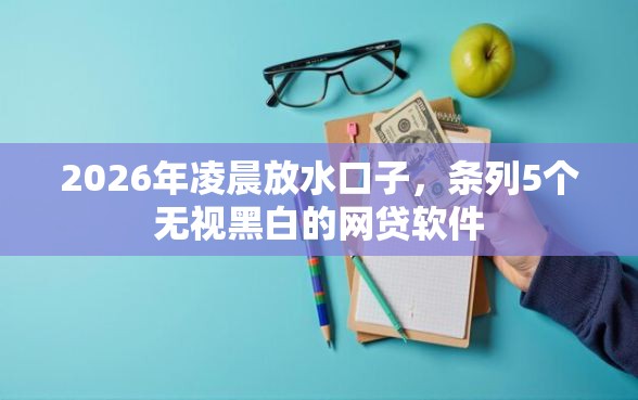 2026年凌晨放水口子，条列5个无视黑白的网贷软件