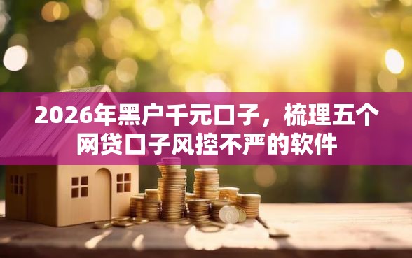 2026年黑户千元口子，梳理五个网贷口子风控不严的软件
