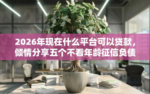 2026年现在什么平台可以贷款，倾情分享五个不看年龄征信负债的口子