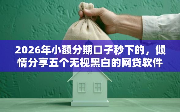 2026年小额分期口子秒下的，倾情分享五个无视黑白的网贷软件