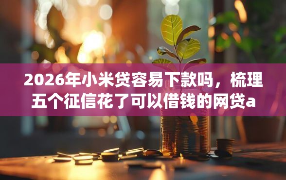2026年小米贷容易下款吗，梳理五个征信花了可以借钱的网贷app