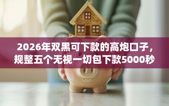 2026年双黑可下款的高炮口子，规整五个无视一切包下款5000秒下款的app