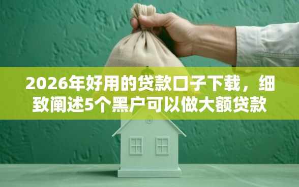 2026年好用的贷款口子下载，细致阐述5个黑户可以做大额贷款软件
