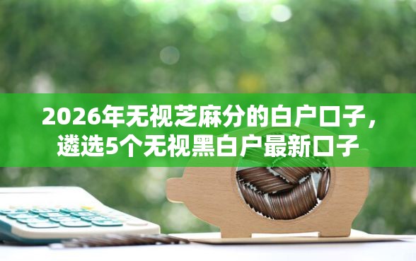2026年无视芝麻分的白户口子，遴选5个无视黑白户最新口子