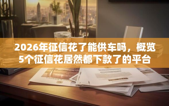 2026年征信花了能供车吗，概览5个征信花居然都下款了的平台