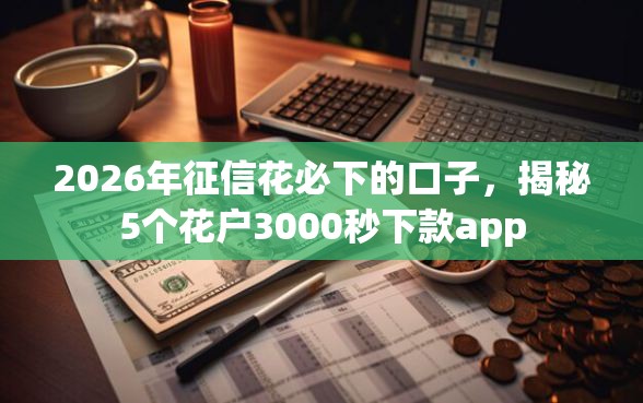 2026年征信花必下的口子，揭秘5个花户3000秒下款app