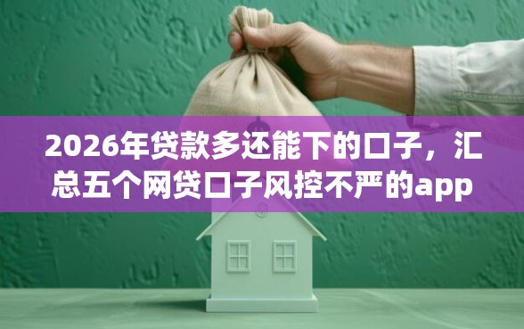 2026年贷款多还能下的口子，汇总五个网贷口子风控不严的app