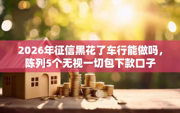 2026年征信黑花了车行能做吗，陈列5个无视一切包下款口子